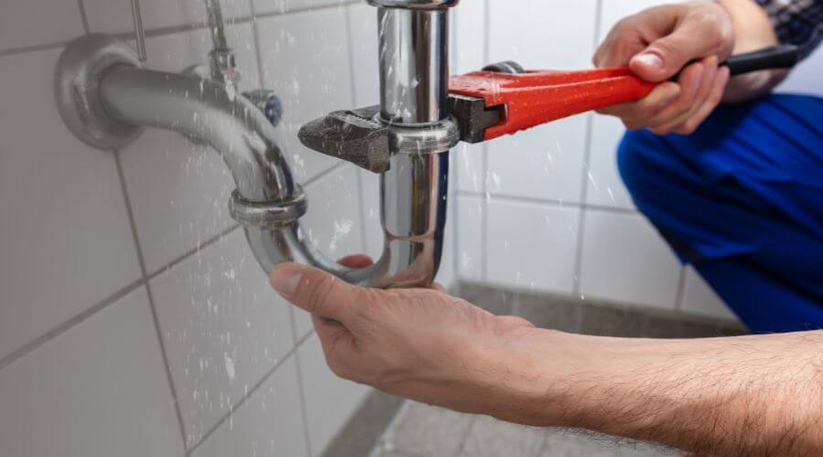 Professional Leak Detection services in Proctorville, NC
